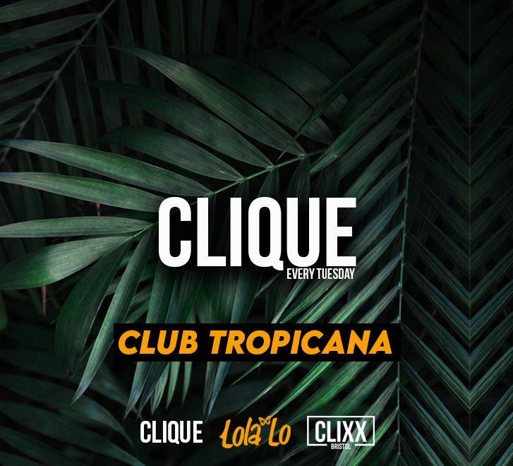 Lola Lo | Clique 